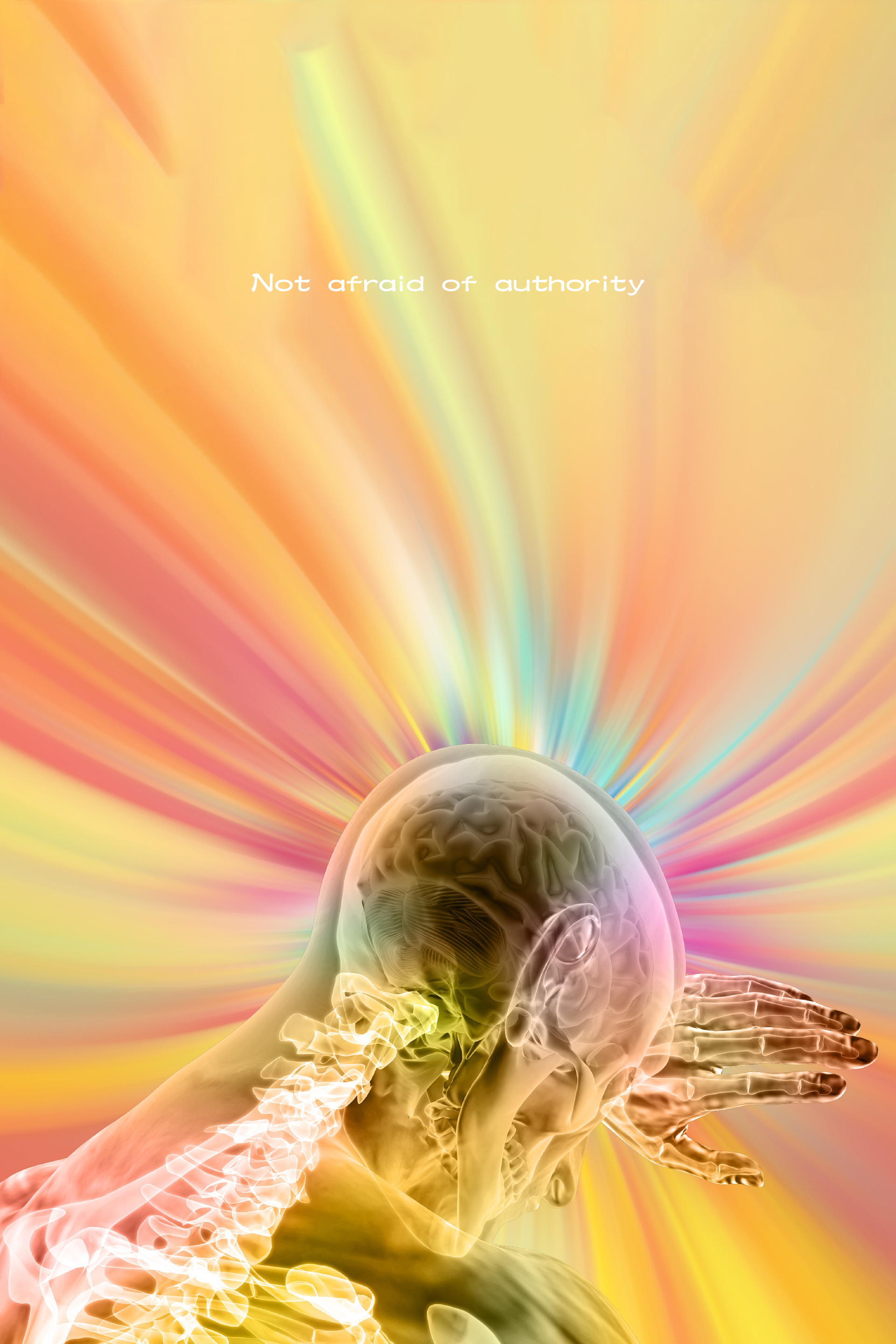 ATRAF About Image 2